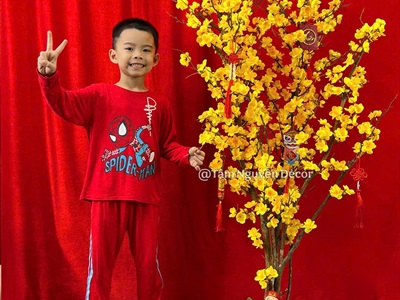 Cây Mai Vàng thân gỗ Cao 130 - 140cm CAYCANH-TET-02